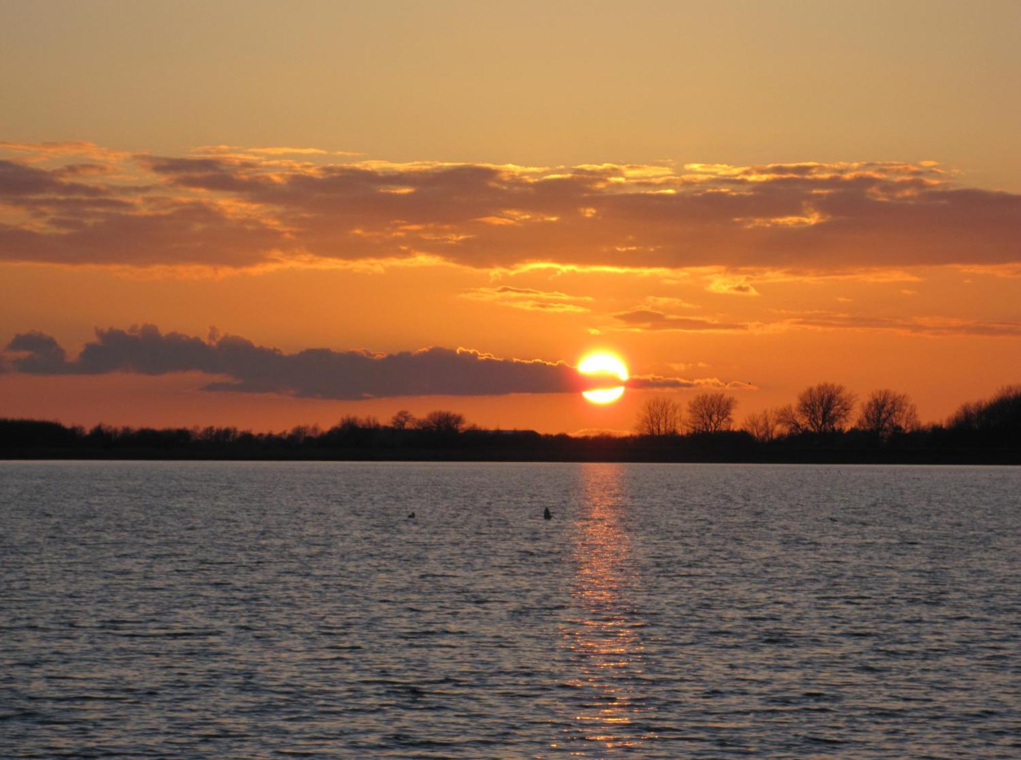 Fewo Im Kastania Nr19 Petersdorf auf Fehmarn Buitenkant foto