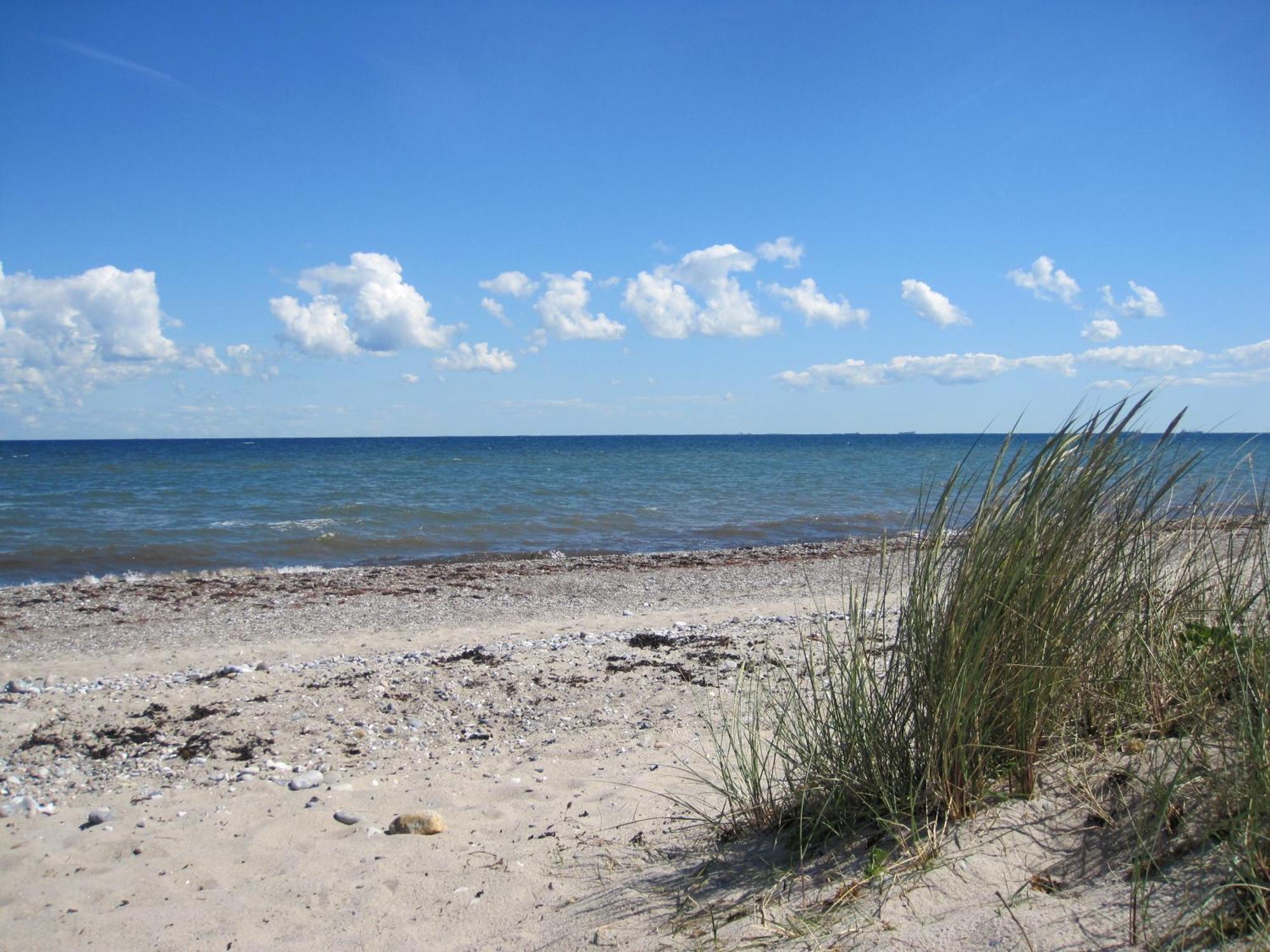 Fewo Im Kastania Nr19 Petersdorf auf Fehmarn Buitenkant foto
